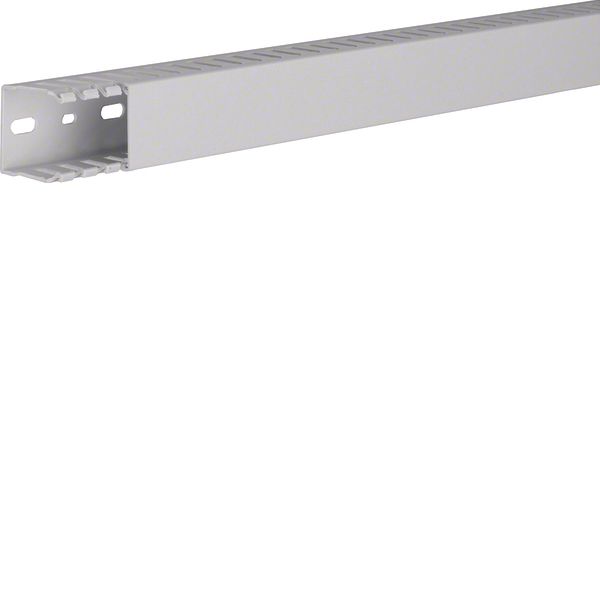 HNG 37037/0 Grey 7035 Trunking image 1