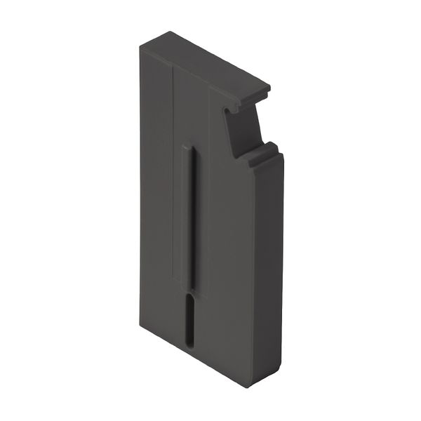 End and partition plate for terminals, 31.5 mm x 4 mm, black image 1