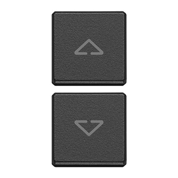 2 buttons Flat arrows symbol grey image 1