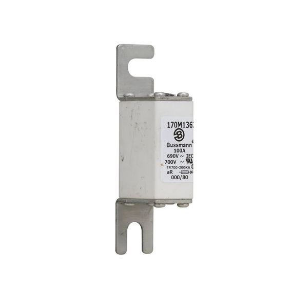 Fuse-link, high speed, 100 A, AC 690 V, DIN 000, 21 x 40 x 100 mm, aR, DIN, IEC, single indicator image 10