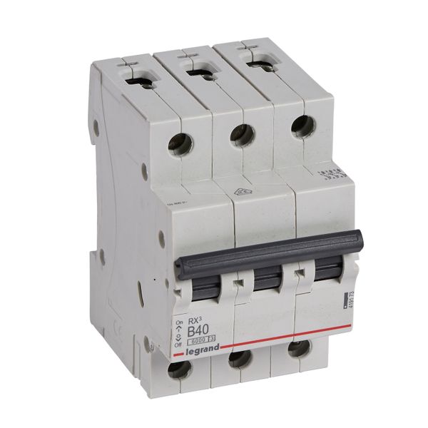 MCB RX³ 6000 - 3P - 400V~ - 40 A - B curve - prong/fork type supply busbars image 1