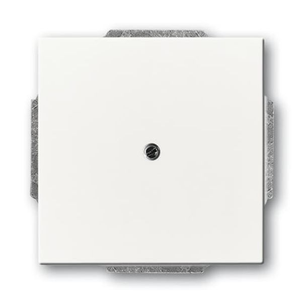 1803-02-84 CoverPlates (partly incl. Insert) future®, Busch-axcent®, solo®; carat® Studio white image 3