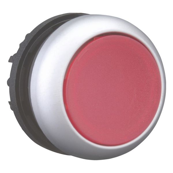 Illuminated pushbutton actuator, RMQ-Titan, Flush, momentary, red, Blank, Bezel: titanium image 6