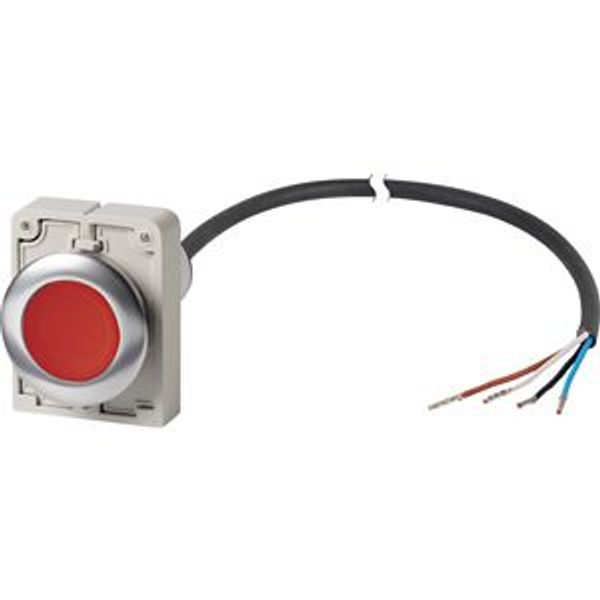 Illuminated pushbutton actuator, Flat, momentary, 1 NC, Cable (black) with non-terminated end, 4 pole, 3.5 m, LED Red, red, Blank, 24 V AC/DC, Metal b image 2