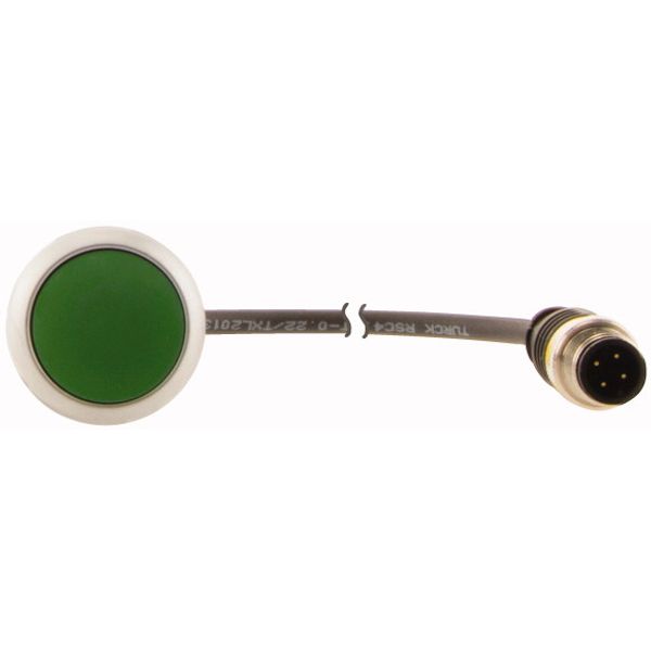 Pushbutton, classic, flat, maintained, 1 N/O, green, cable (black) with m12a plug, 4 pole, 0.2 m image 2