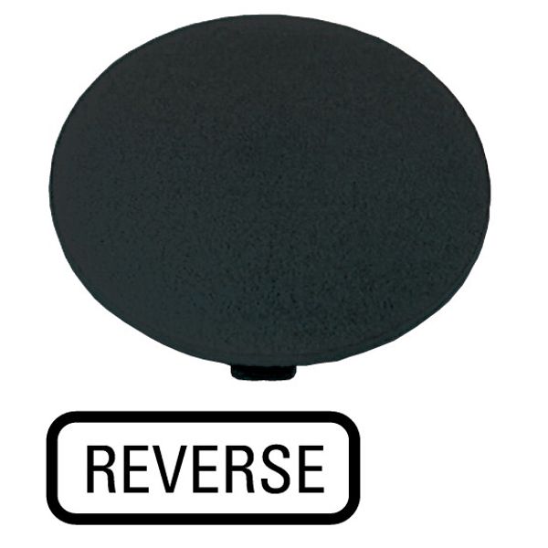 Button plate, mushroom black, REVERSE image 1