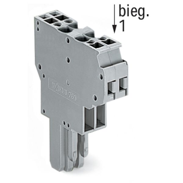 2-conductor female connector CAGE CLAMP® 4 mm² gray image 5