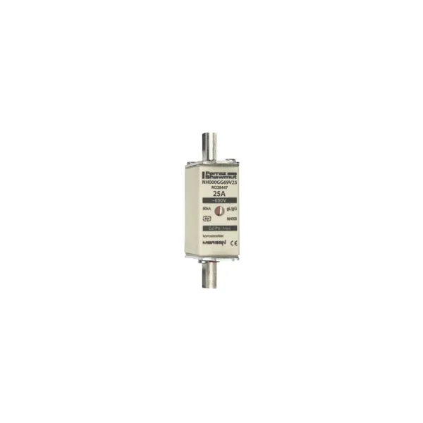 Fuse-link NH000 gG 690VAC 25A live tags Double indicator image 2