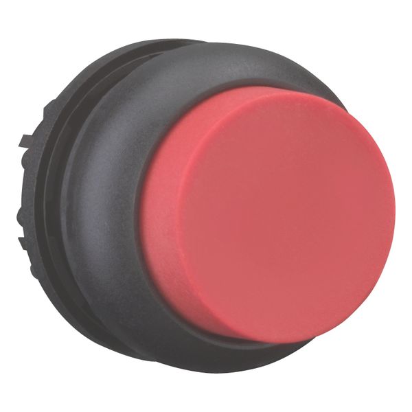 Pushbutton, RMQ-Titan, Extended, maintained, red, Blank, Bezel: black image 14