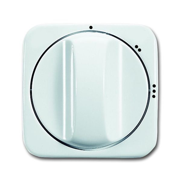 2542 DR/02-214 CoverPlates (partly incl. Insert) carat® Alpine white image 1