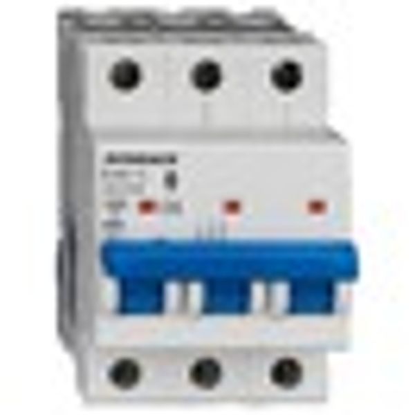 Miniature Circuit Breaker (MCB) AMPARO 10kA, D 40A, 3-pole image 2
