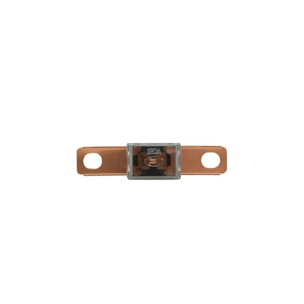 Fuse-link, Overcurrent NON SMD, 100 A image 2