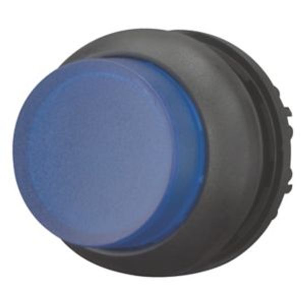 Illuminated pushbutton actuator, RMQ-Titan, Extended, momentary, Blue, Blank, Bezel: black image 2