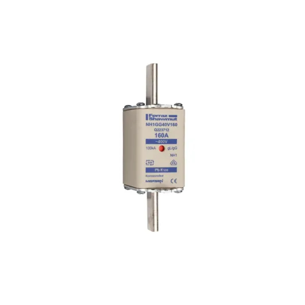 Fuse-link NH1 gG 400VAC 160A live tags Double indicator image 2