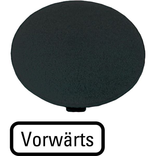 Button plate, mushroom black, FORWARDS image 2