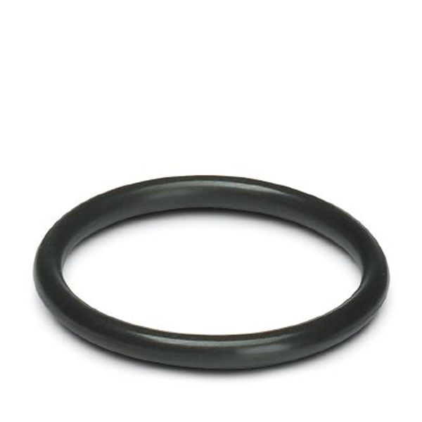 Sealing ring image 1