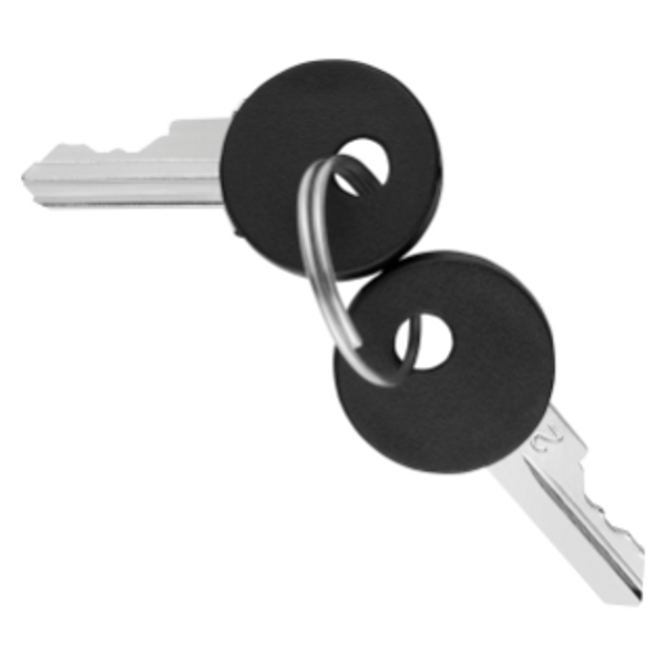 SET OF 2 KEYS FOR COMMAND DEVICES - PUSH-BUTTONS image 1