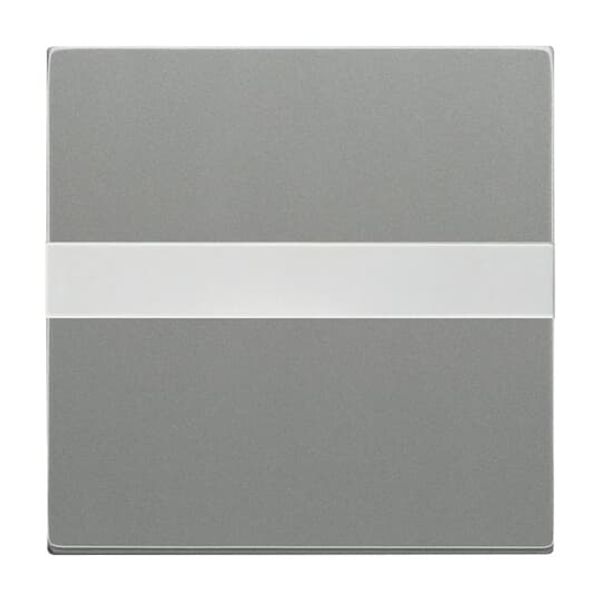 1716-803 CoverPlates (partly incl. Insert) Busch-axcent®, solo® grey metallic image 5