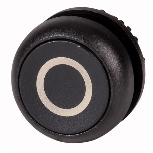 Pushbutton, RMQ-Titan, Flat, maintained, black, inscribed, Bezel: black image 1