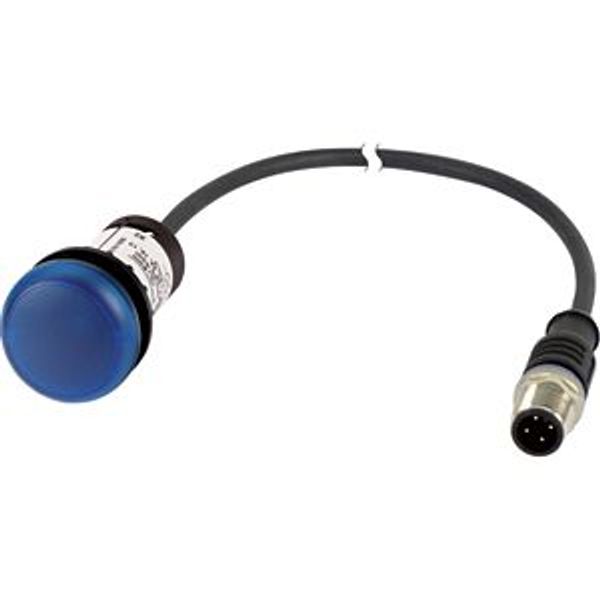 Indicator light, Flat, Cable (black) with M12A plug, 4 pole, 1 m, Lens Blue, LED Blue, 24 V AC/DC image 5