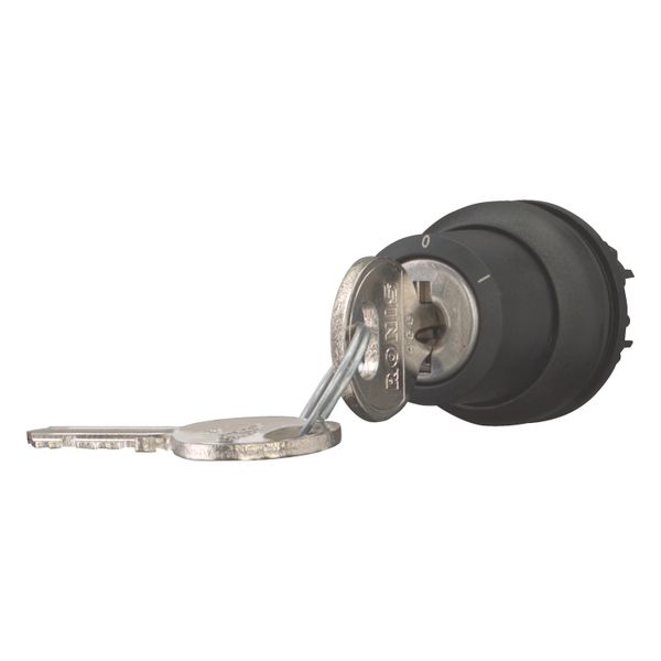 Key-operated actuator, momentary, 2 positions, Ronis 455, Key withdrawable: 0, Bezel: black image 9