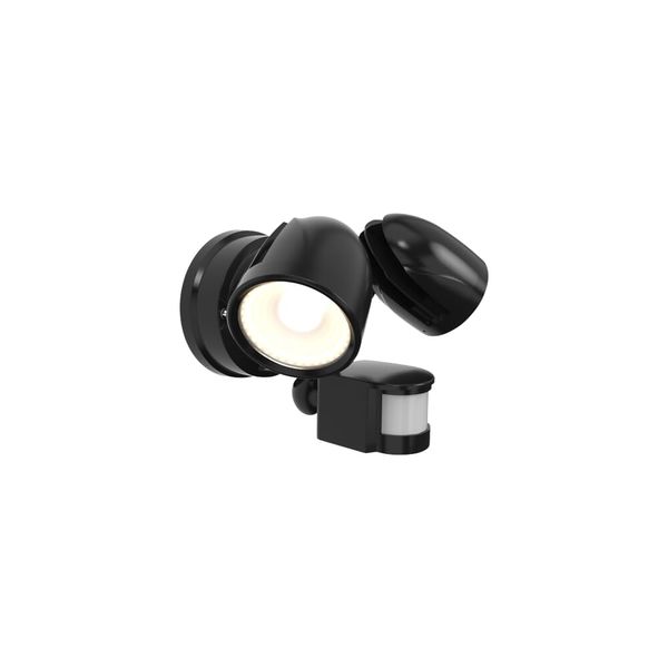 Zeker CCT Security Light PIR Black image 1