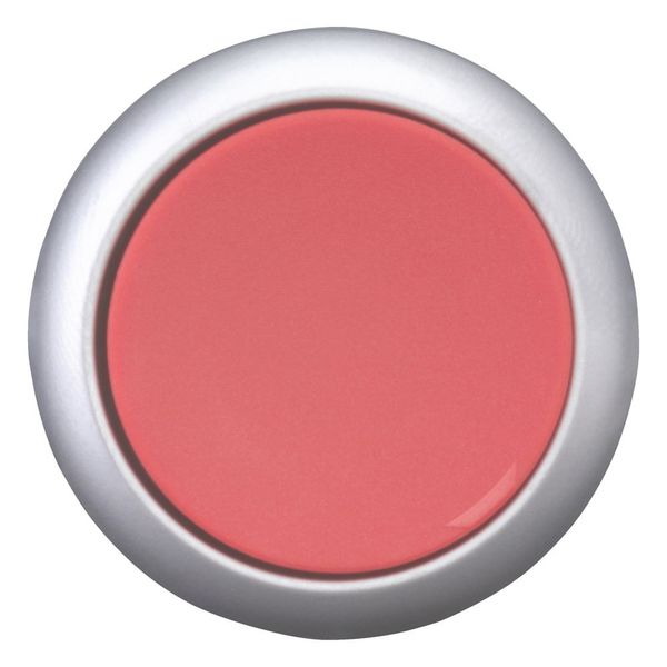 Pushbutton, RMQ-Titan, Flat, momentary, red, Blank, Bezel: titanium image 3