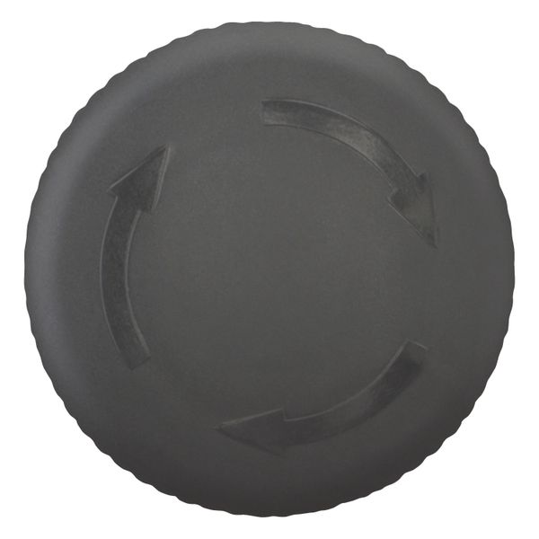 HALT/STOP-Button, RMQ-Titan, Mushroom-shaped, 38 mm, Non-illuminated, Turn-to-release function, Black, yellow, RAL 9005 image 7