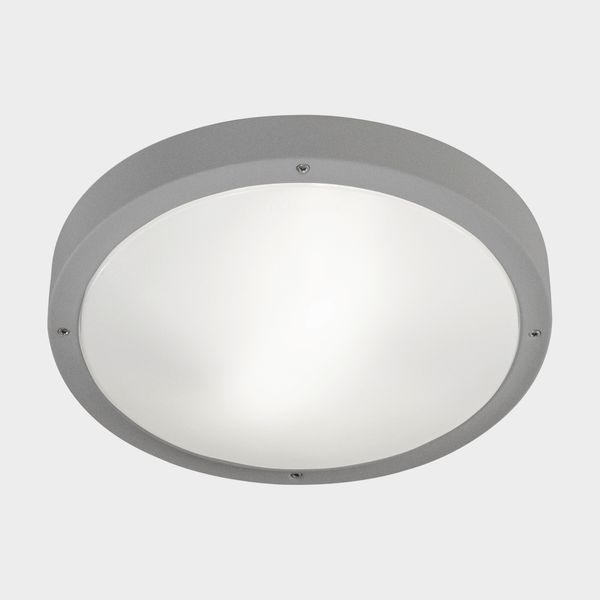 Ceiling fixture IP66 BASIC E27 E27 15;15W Grey image 1