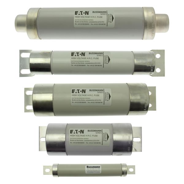 Motor fuse-link, medium voltage, 80 A, AC 3.6 kV, 51 x 254 mm, back-up, BS, with striker image 8