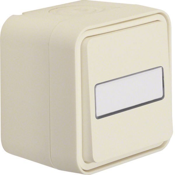 Change-over switch with labelling field surface-mounted, W.1, polar wh image 1