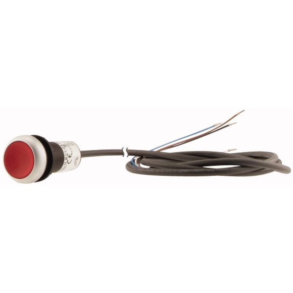 Illuminated pushbutton actuator, classic, flat, maintained, 1 N/C, red, 24 V AC/DC, cable (black) with non-terminated end, 4 pole, 1 m image 3