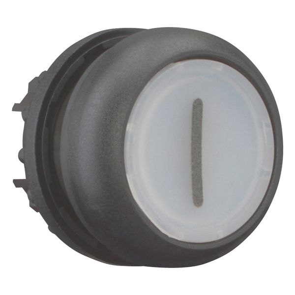 Illuminated pushbutton actuator, RMQ-Titan, Flush, momentary, White, inscribed 1, Bezel: black image 12