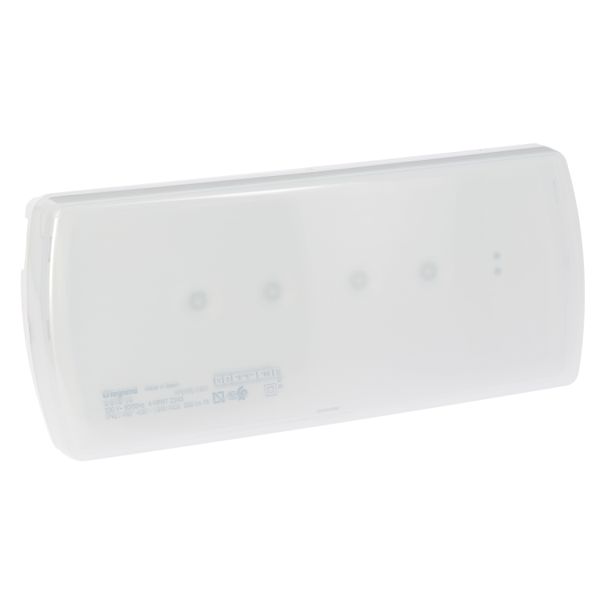 Emergency luminaire U21 - std maintained / non maintained - 200 lm - 1h - LED image 1