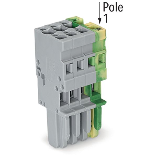 1-conductor female connector CAGE CLAMP® 4 mm² green-yellow/gray image 2