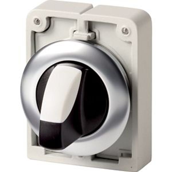 Changeover switch, RMQ-Titan, with thumb-grip, momentary, 2 positions, Front ring stainless steel image 2