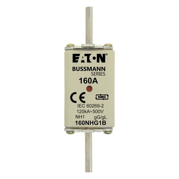 Fuse-link, low voltage, 160 A, AC 500 V, NH1, gL/gG, IEC, dual indicator image 5