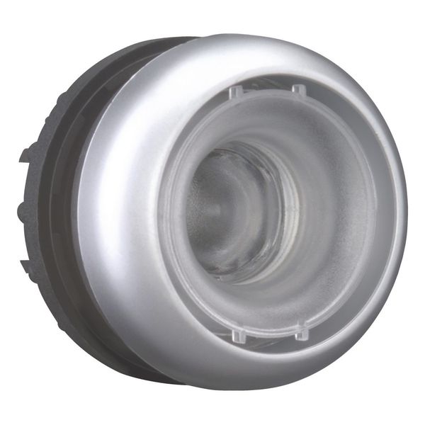Pushbutton, RMQ-Titan, momentary, Without button plate, Bezel: titanium image 11