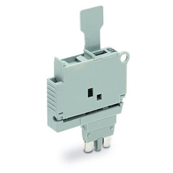 2004-911/1000-542 Fuse plug; with pull-tab; for 5 x 20 mm miniature metric fuse image 1