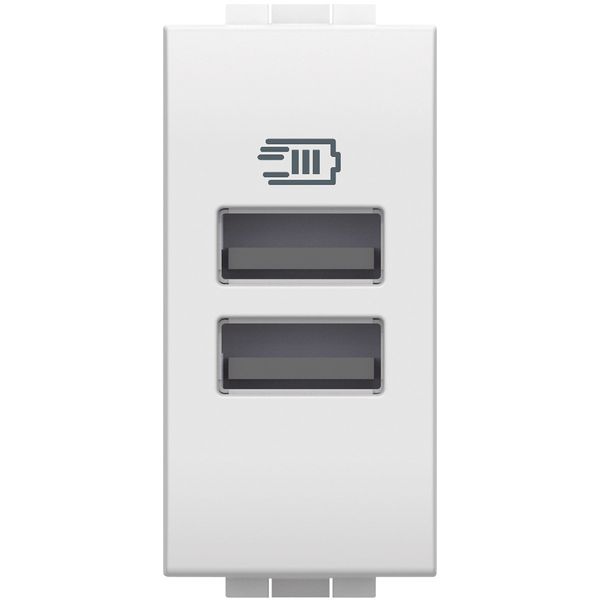 LL - USB type A+A charger 1m white image 1