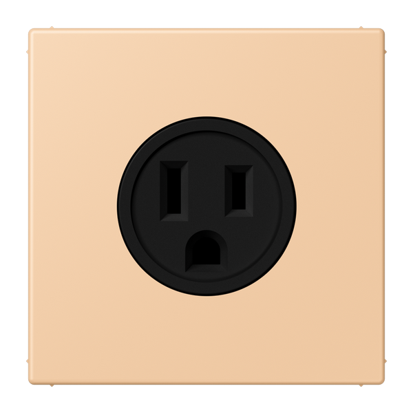 Socket US NEMA system LC32122 LC521-15237 image 1