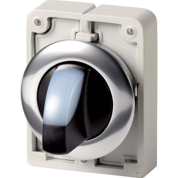 Illuminated selector switch actuator, RMQ-Titan, With thumb-grip, momentary, 2 positions, White, Metal bezel image 2