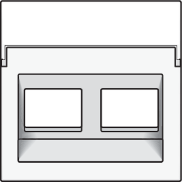 Central plate data 2x RJ oblique output, white coated image 3