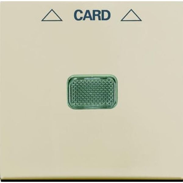 1792-92-507 Cover Plates (partly incl. Insert) Switch/push button Hotel card Hotel card Card white - Basic55 image 1