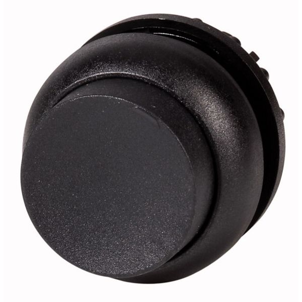 Pushbutton, RMQ-Titan, Extended, maintained, black, Blank, Bezel: black image 1