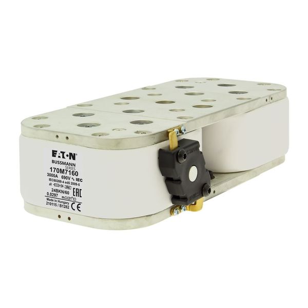 FUSE 3000A 660V 24BKN/60 AR image 13