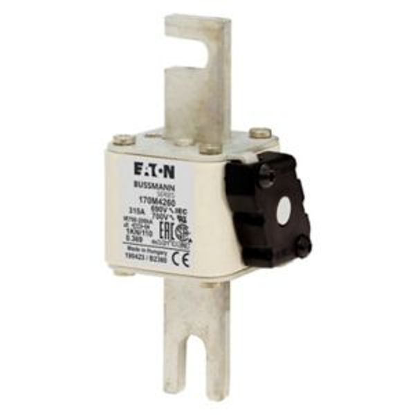 Fuse-link, high speed, 315 A, AC 690 V, DIN 1, 53 x 69 x 138 mm, aR, DIN, IEC, single indicator image 6