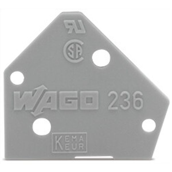 End plate 1 mm thick snap-fit type light gray image 3