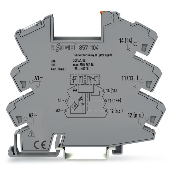 Relay socket Nominal input voltage: 24 V AC/DC for 5 mm basic relays image 3