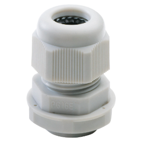 NYLON CABLE GLAND -  PG PITCH 16 - GREY RAL 7035 - IP68 image 1